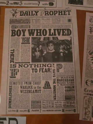 Harry Potter - set di 13 poster Daily Prophet