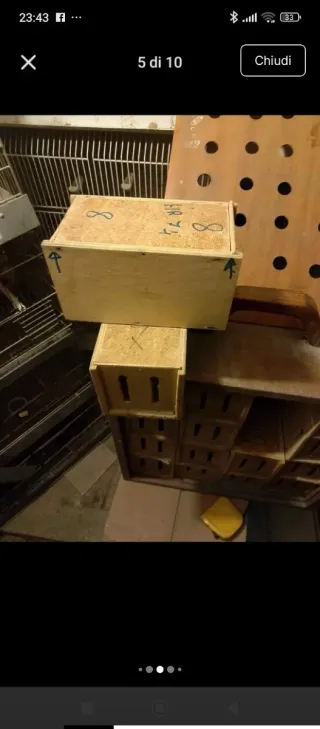 Trasportino per uccelli in legno artigianale