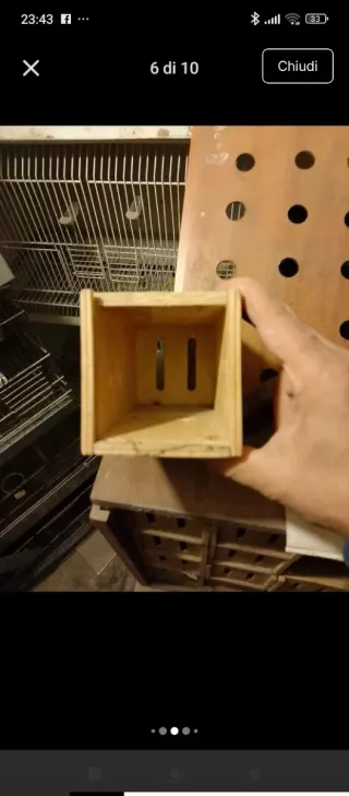 Trasportino per uccelli in legno artigianale