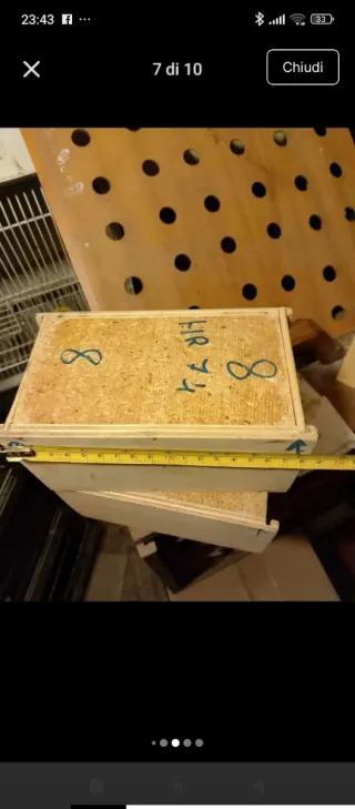 Trasportino per uccelli in legno artigianale