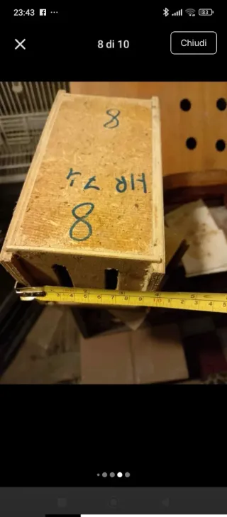 Trasportino per uccelli in legno artigianale