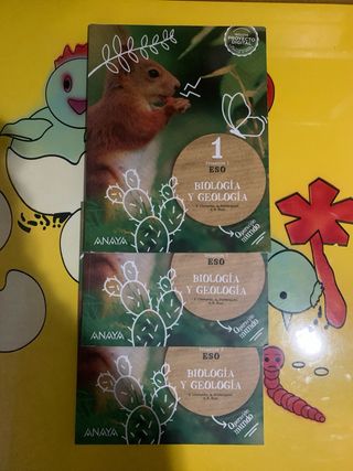 GEOGRAFIA E HISTORIA 1 ESO CONSTRUYENDO MUNDOS