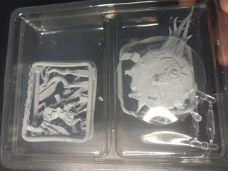 Warhammer Age of Sigmar Daemons of Tzeentch Herald