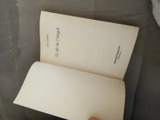 Cuentos i dit de l ángel