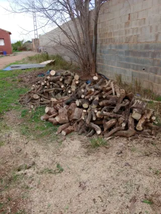 Leña para quemar - 1000 kg tlno 662606346