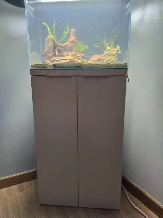 Acuario completo