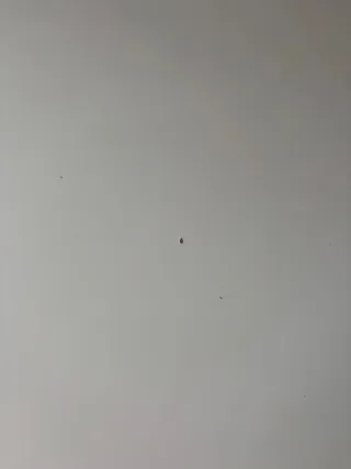 Mesa escritorio metal y madera