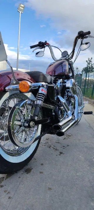 Vance & Hines Short Shots Sportster