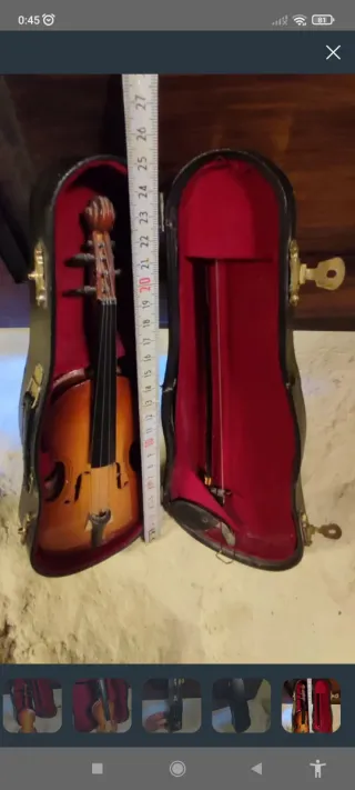 Violín pequeño con estuche y accesorios