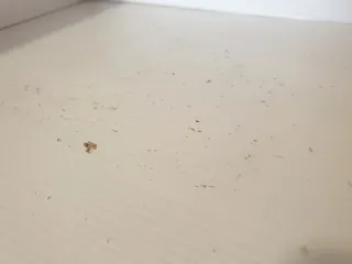 Cambiadores IKEA SUNDVIK + VÄDRA