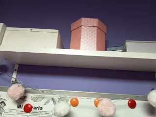 Lote de estanterías