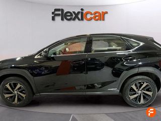 Lexus NX 2.5 300h F Sport Panorámico