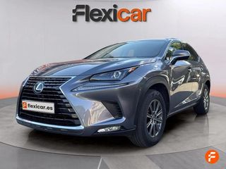 Lexus NX 2.5 300h Business 2WD