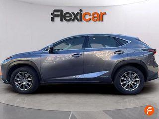Lexus NX 2.5 300h Business 2WD