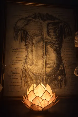 Masajes torremolinos