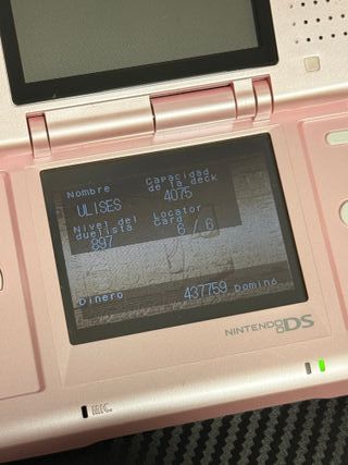 Nintendo DS Rosa + Accessori