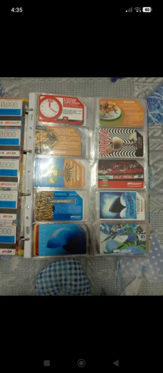 Collezione schede telefoniche con raccoglitore