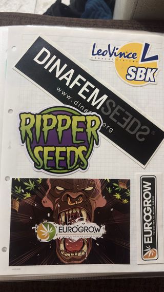 Pegatinas Varias Marcas