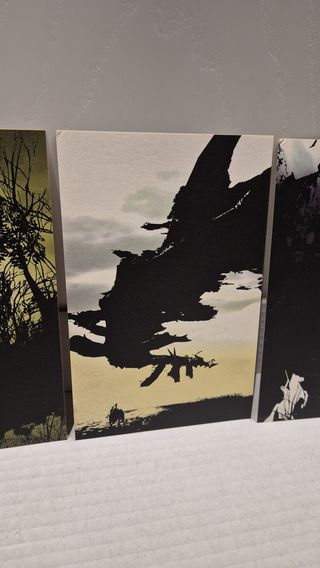 Cartoline Shadow of the Colossus PS2