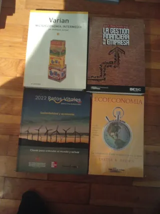 Libros economía lote