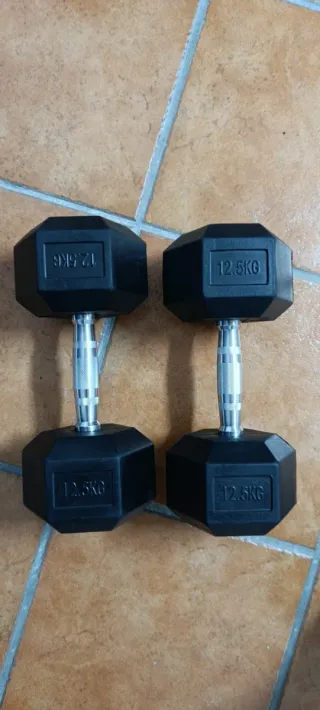 Mancuernas 12.5 kg (par)