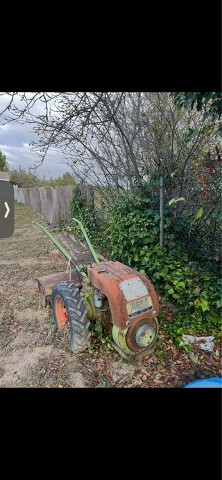 Motocultor Agria 5905