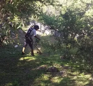 Limpieza de parcelas