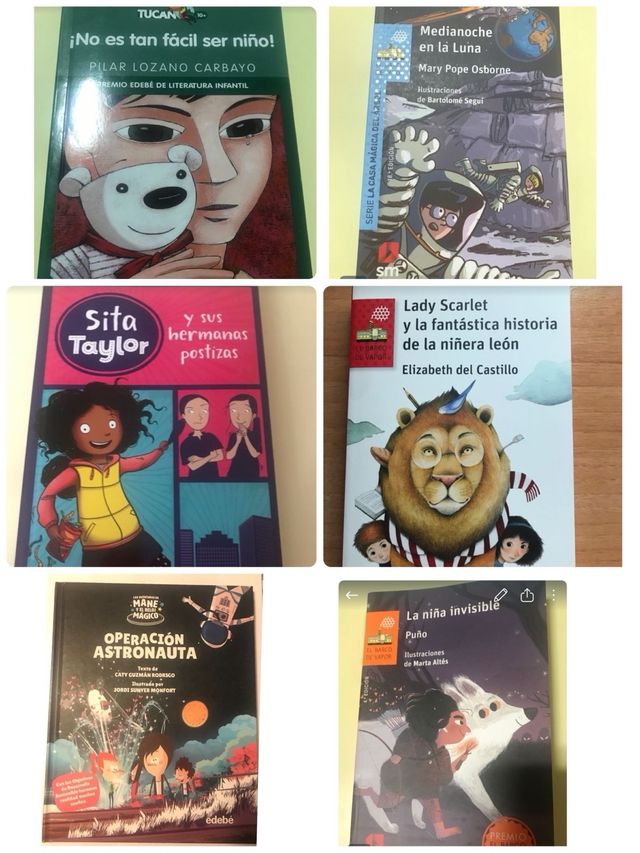 Lote libro de inglés + 6 libros de lectura