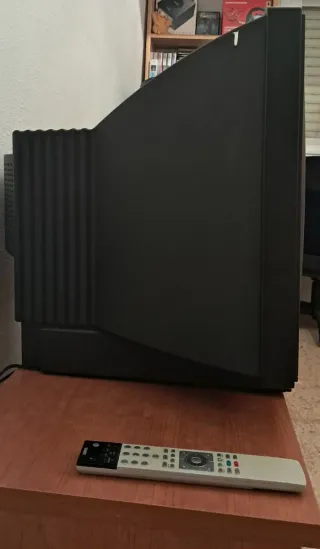 Televisión de tubo LOEWE 21", foto con modelo.