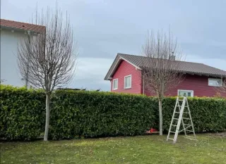 Servicio de jardinería