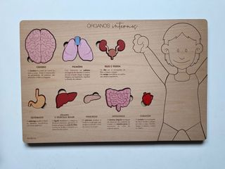 Puzzle Osbru Órganos Internos (Galego)