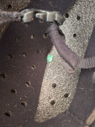 Casco equitación Fouganza Talla 53