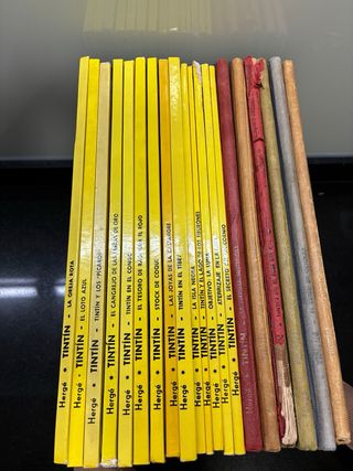 Lote de 20 cuentos de Tintin (ediciones antiguas)