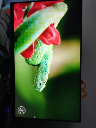 Monitor Acer 32 QHD IPS 75Hz