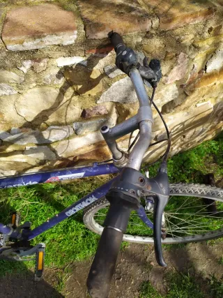 Bicicleta Decathlon Riverside Adulto