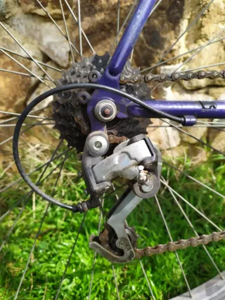 Bicicleta Decathlon Riverside Adulto