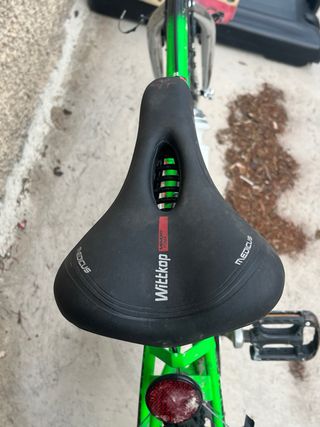 Bicicleta Rabasa Montaña Verde