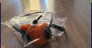 Auriculares Retro 3.5mm Naranjas