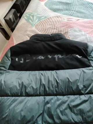 Plumas Champion Negro y Verde Azulado