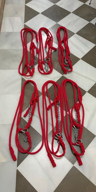 Jaquimas para mulos y caballos