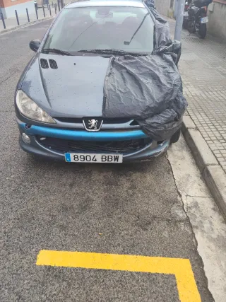 Despiece entero Peugeot 206 GTI