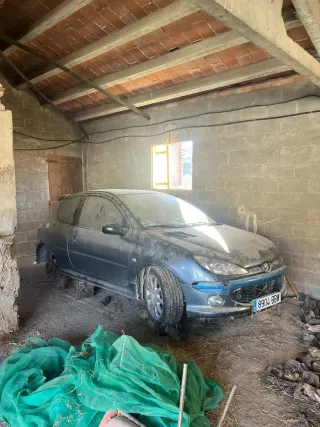Despiece entero Peugeot 206 GTI