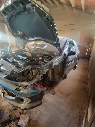 Despiece entero Peugeot 206 GTI