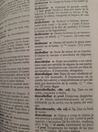 Diccionario VOX lengua española
