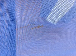 Tumbona plegable azul