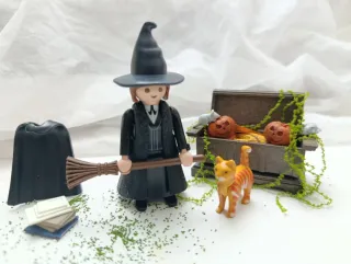 Playmobil Hermione playmobil