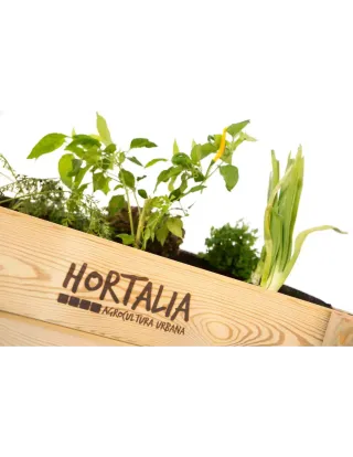 Mesa de cultivo GardenBrico 120x80x40 cm madera exterior 160L