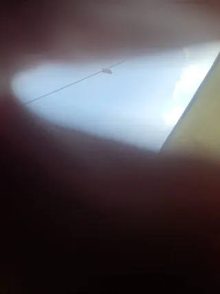 7.- Minifalda marrón con cinturón