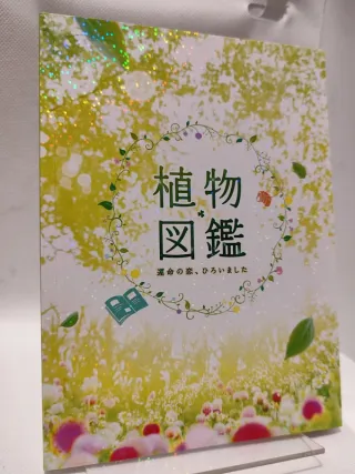 Blu-ray Evergreen Love Edizione Deluxe