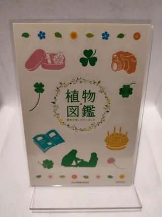 Blu-ray Evergreen Love Edizione Deluxe